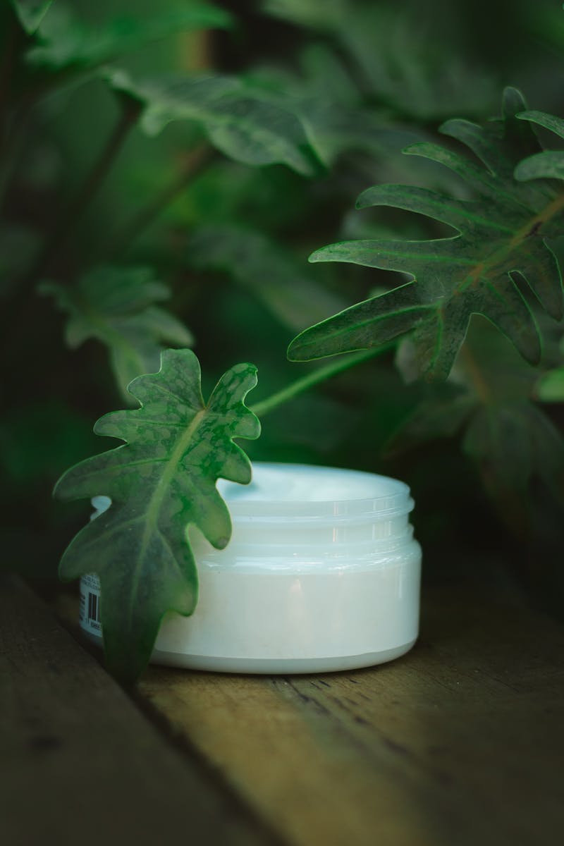 Pot de crème entouré de feuilles vertes